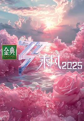 乘风2025 20250328上