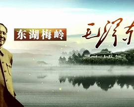 东湖梅岭毛泽东 第02集