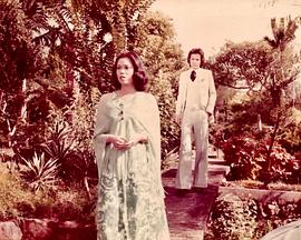 片断粤语 第14集