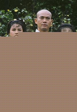 杜心五粤语 第10集