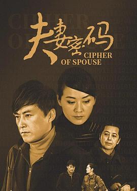 夫妻密码 第19集