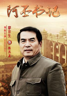 阿丕书记 第12集