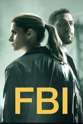 联邦调查局第二季 第04集