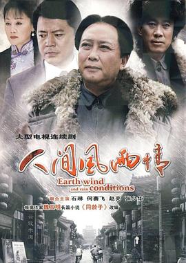 人间风雨情 第04集