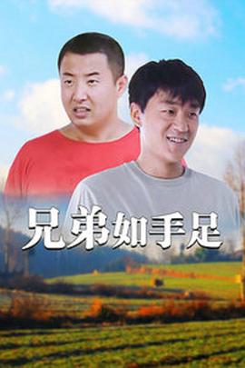 兄弟如手足 第21集(大结局)