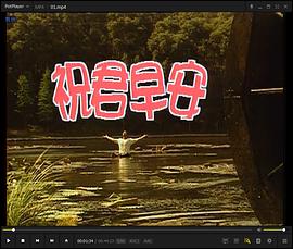 祝君早安国语 第20集