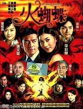 火蝴蝶2008 第21集