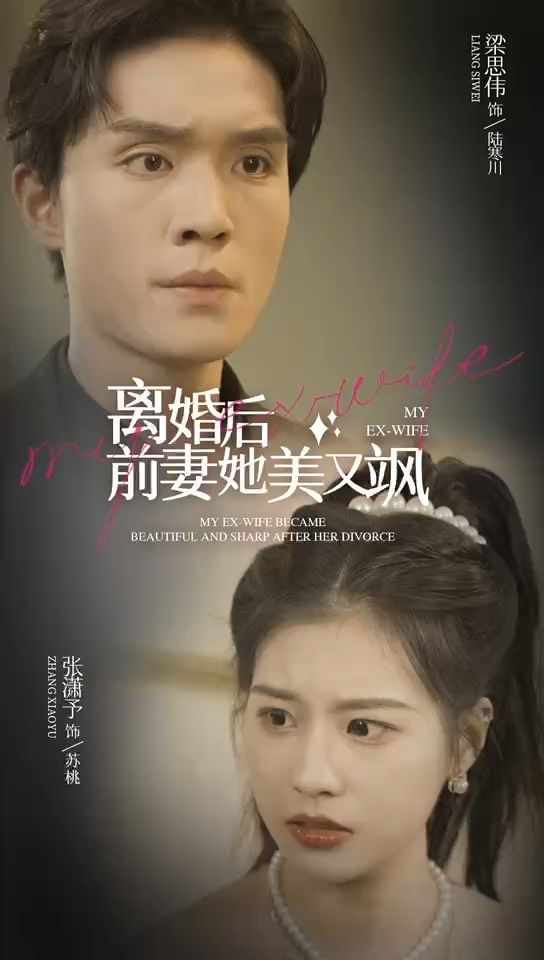 离婚后前妻她美又飒 第31集