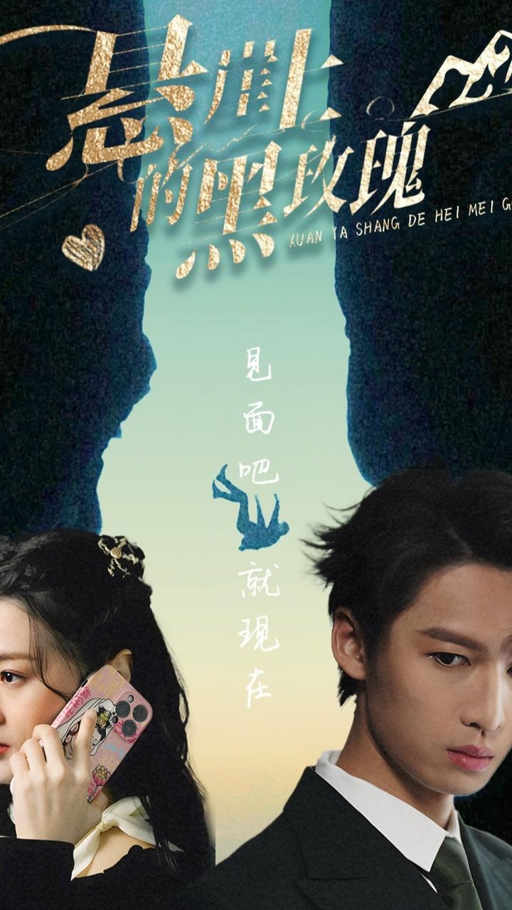 悬崖上的黑玫瑰 第04集