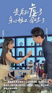 凌总别虐了，桑小姐又孕吐了 第13集