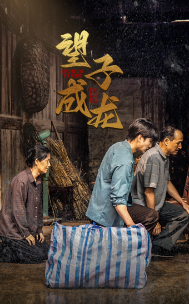 新版：望子成龙 全集(大结局)