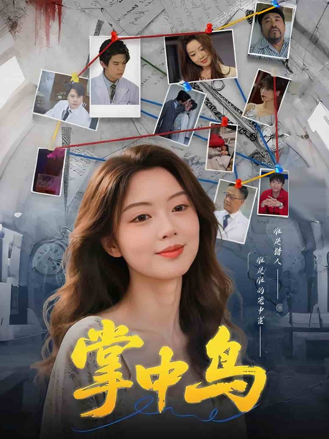 掌中鸟 720P(大结局)