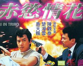 赤欲情花(大结局)