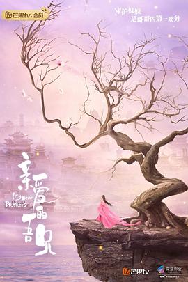 亲爱的吾兄 第32集