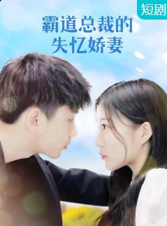 霸道总裁的失忆娇妻 第10集