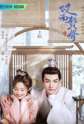 双面赘婿第2季 第03集