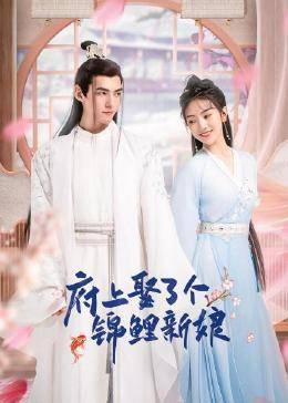 府上娶了个锦鲤新娘 第23集