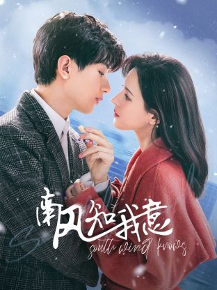 南风知我意 第31集