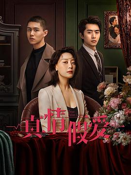 真情假爱 第23集