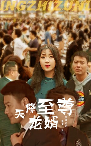 天降至尊龙婿 720P