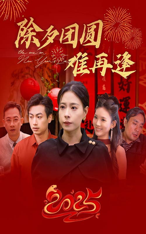 除夕团圆难再逢 第39集
