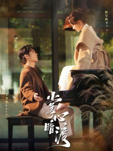 掌心暗渡 720P(大结局)