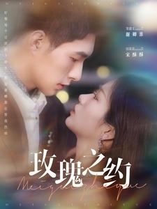 玫瑰之约 720P(大结局)