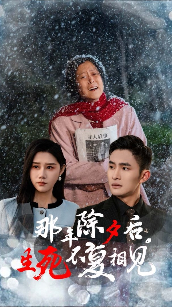 那年除夕后生死不复相见 720P