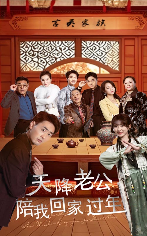 天降老公陪我回家过年 第45集