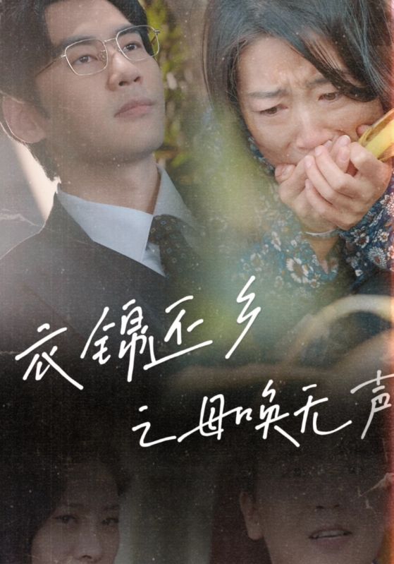 衣锦还乡之母唤无声 第20集