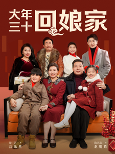 大年三十回娘家 第12集
