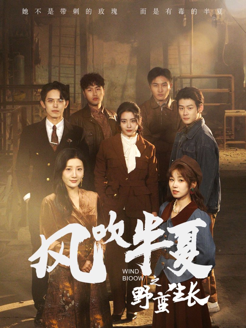 风吹半夏之野蛮生长 第50集