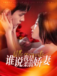 谁说我是柔弱娇妻 720P(大结局)