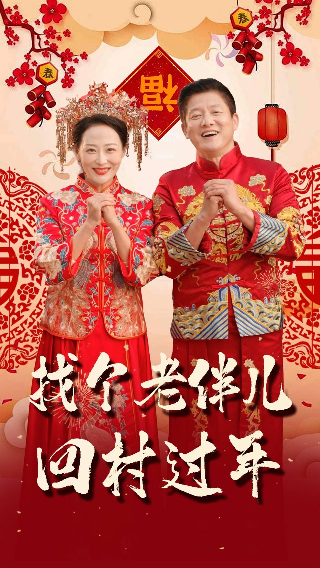 找个老伴儿回村过年 第18集