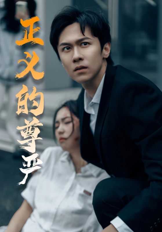 正义的尊严 720P(大结局)