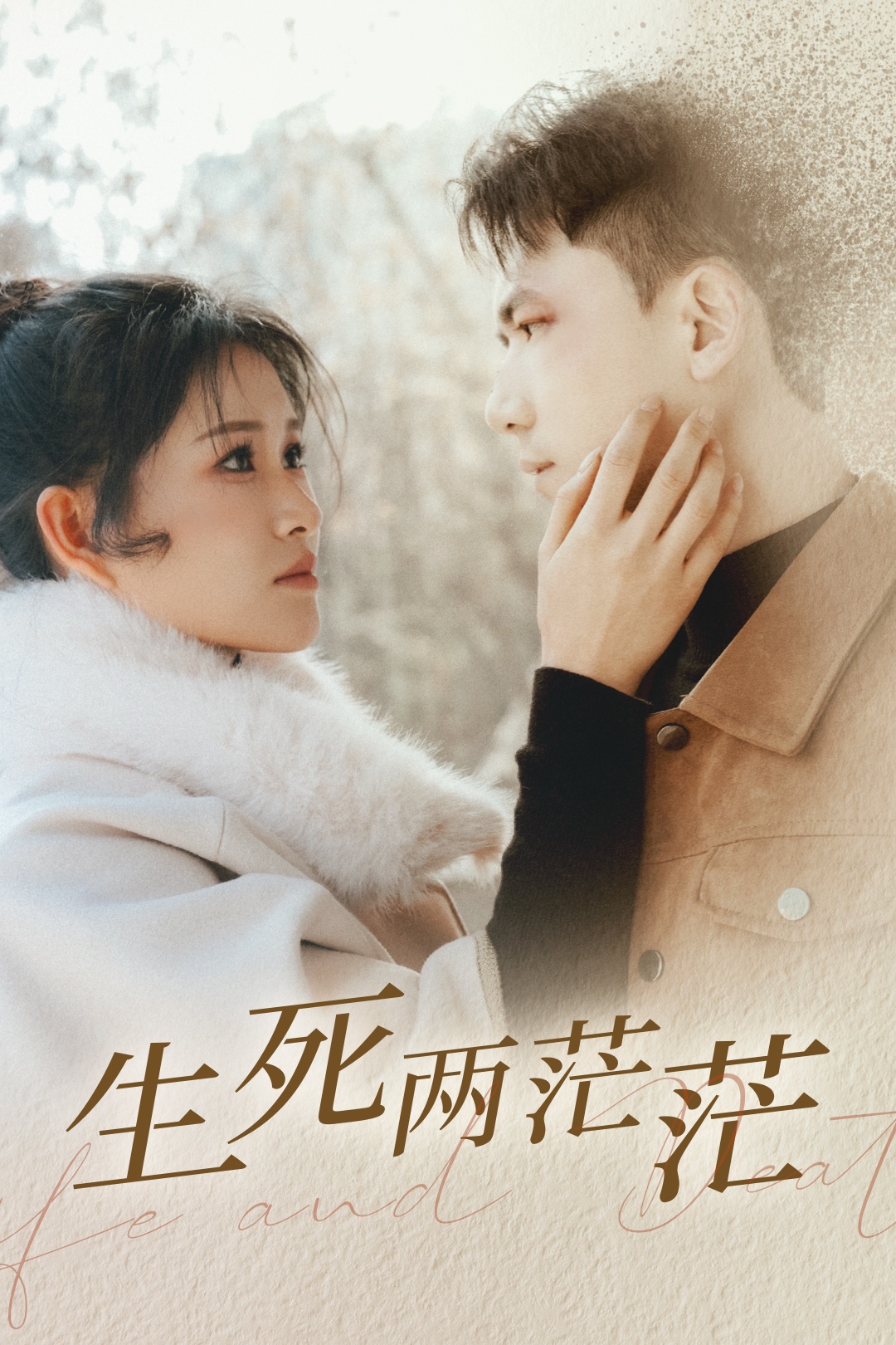 生死两茫茫 第21集