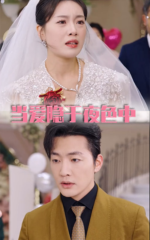 当爱隐于夜色中 第19集