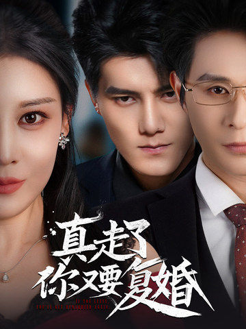 真走了你又要复婚 第1集