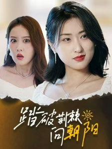 踏破荆棘向朝阳 第3集