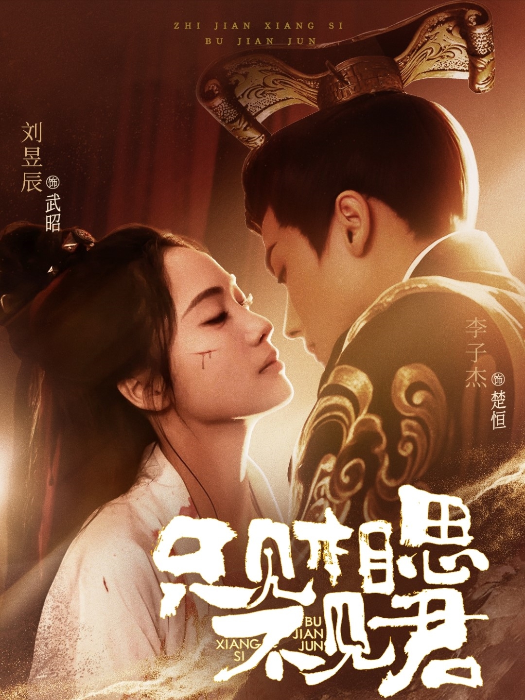 只见相思不见君 第25集