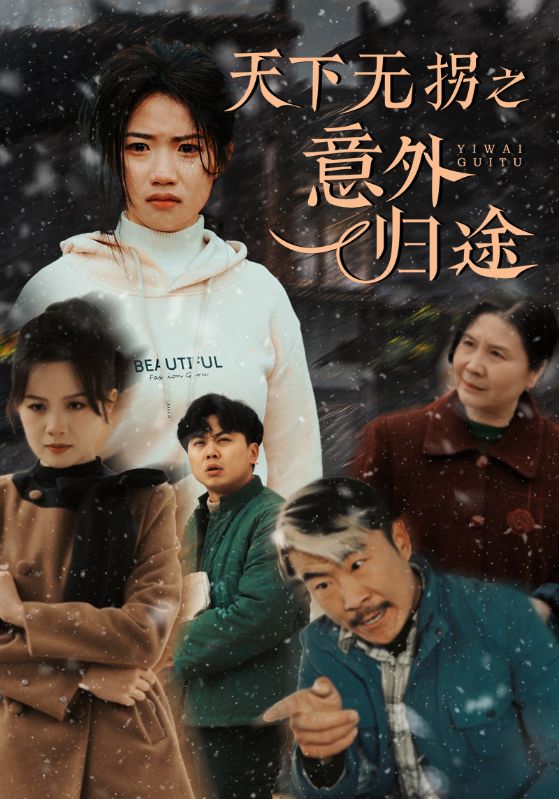 天下无拐之意外归途 第2集