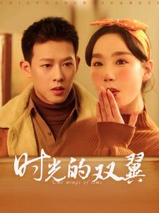 时光的双翼 720P(大结局)