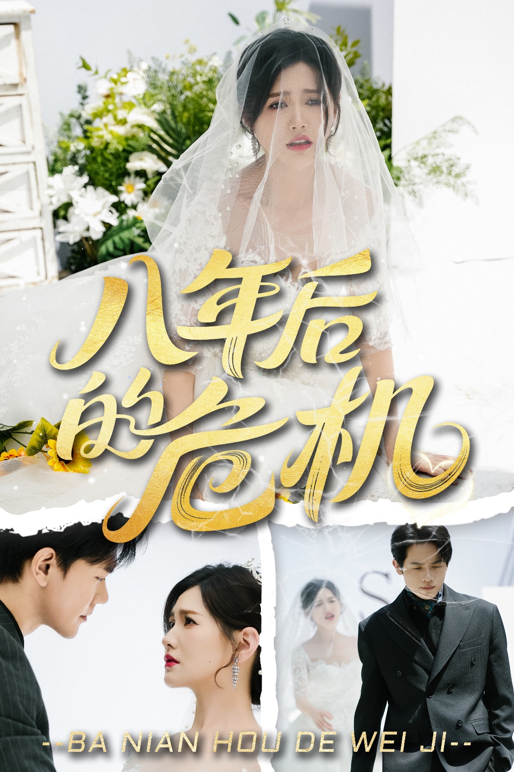 八年后的危机 第20集