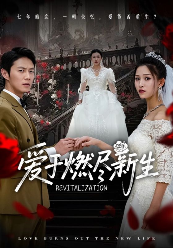 爱于燃尽新生 第25集