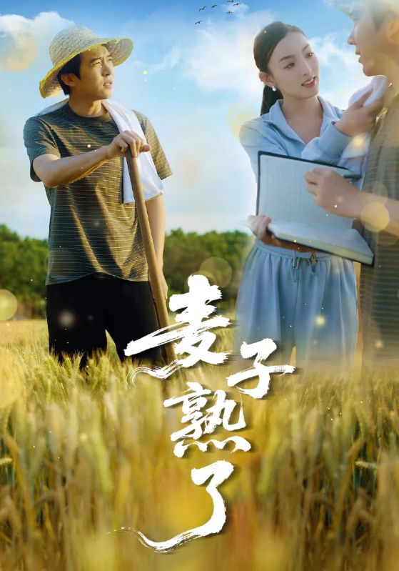 麦子熟了 720P(大结局)