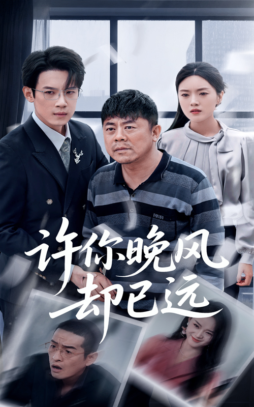 许你晚风却已远 第8集