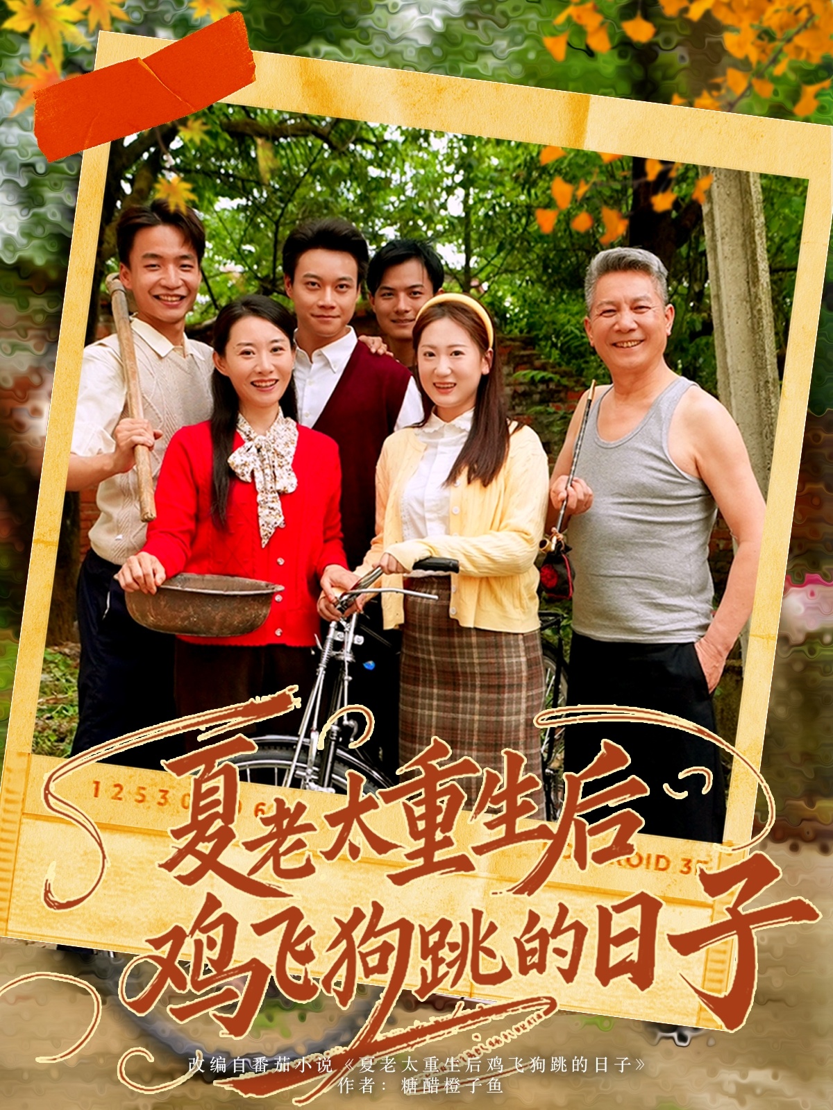 夏老太重生后鸡飞狗跳的日子 第2集