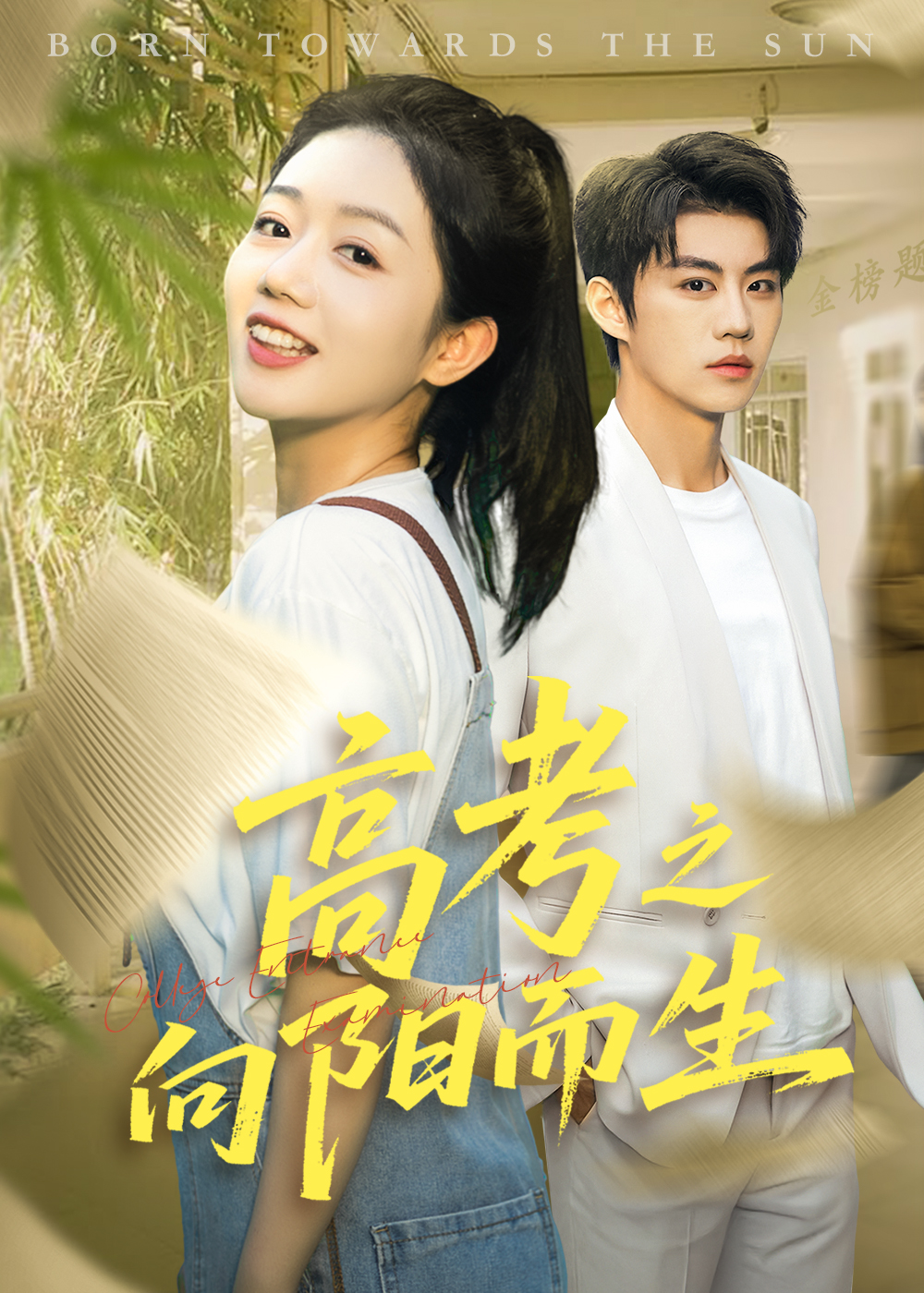 高考之向阳而生 720P