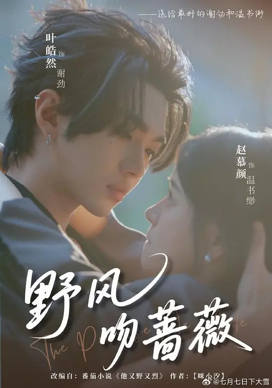 野风吻蔷薇 第39集