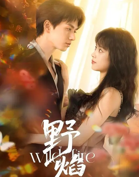 野焰 720P(大结局)